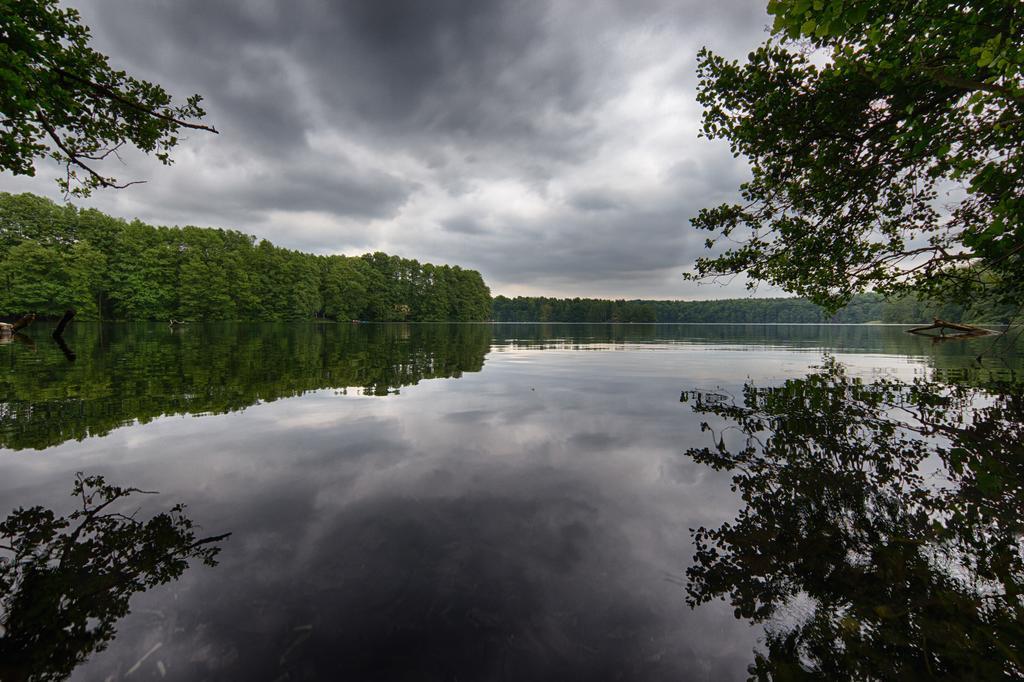 Hotel Am Liepnitzsee Wandlitz Dış mekan fotoğraf