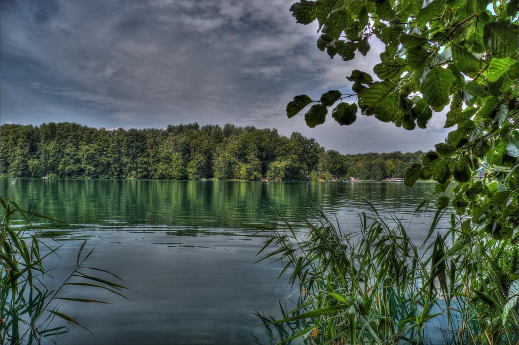 Hotel Am Liepnitzsee Wandlitz Dış mekan fotoğraf