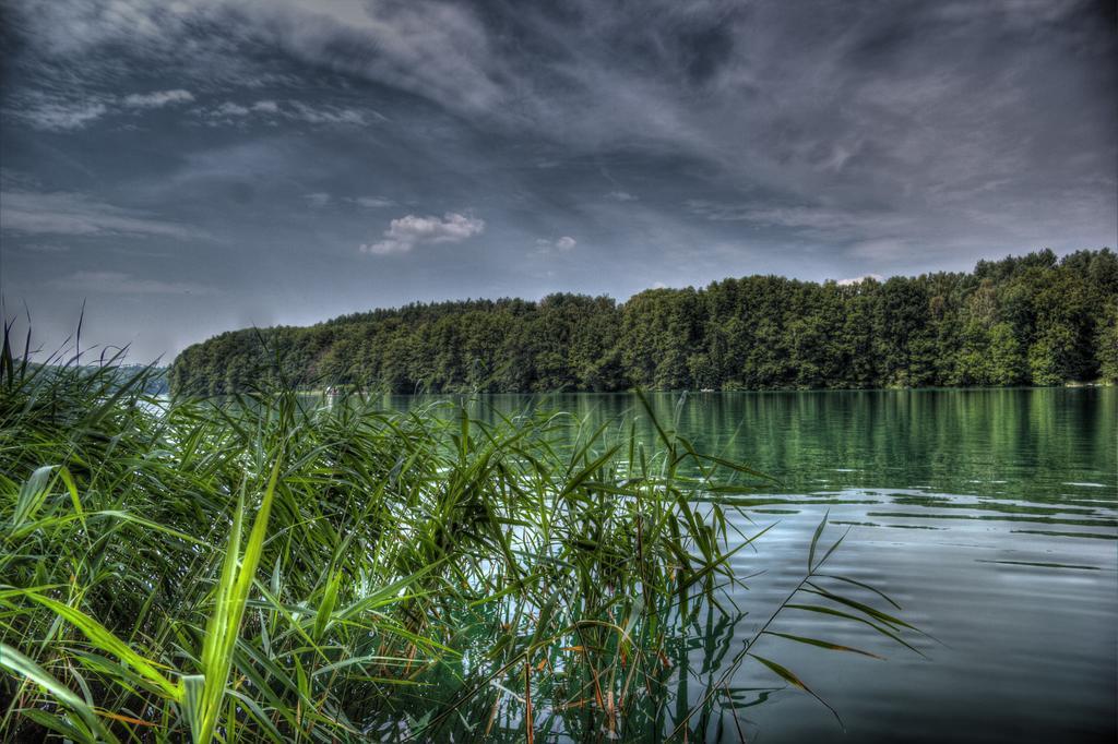 Hotel Am Liepnitzsee Wandlitz Dış mekan fotoğraf