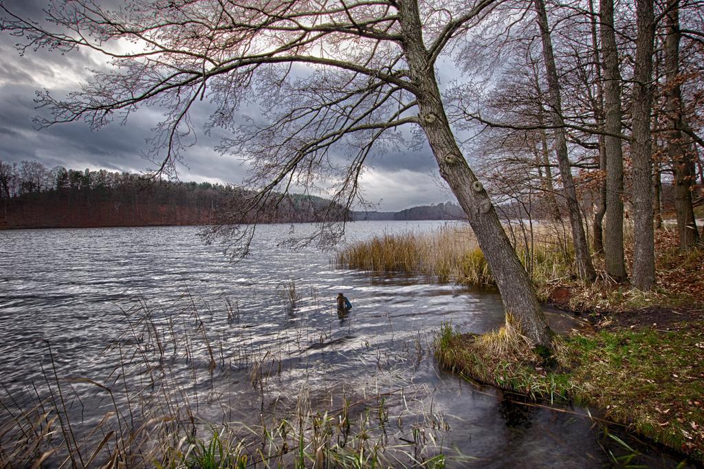 Hotel Am Liepnitzsee Wandlitz Dış mekan fotoğraf
