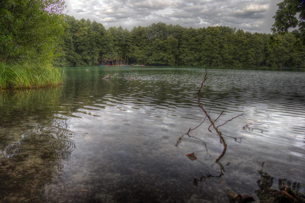 Hotel Am Liepnitzsee Wandlitz Dış mekan fotoğraf