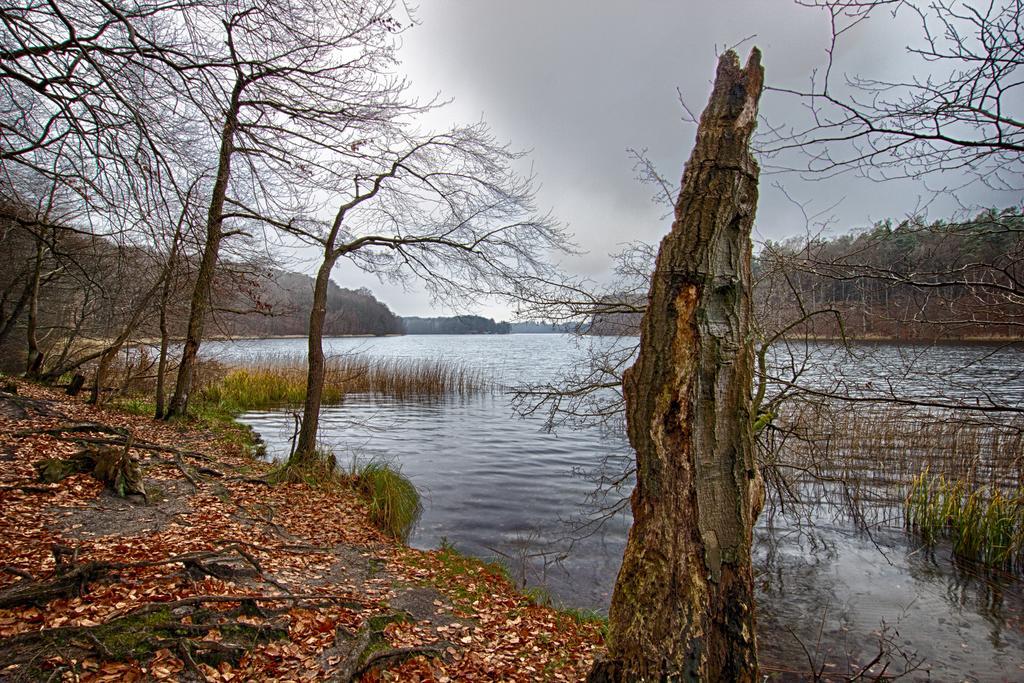 Hotel Am Liepnitzsee Wandlitz Dış mekan fotoğraf