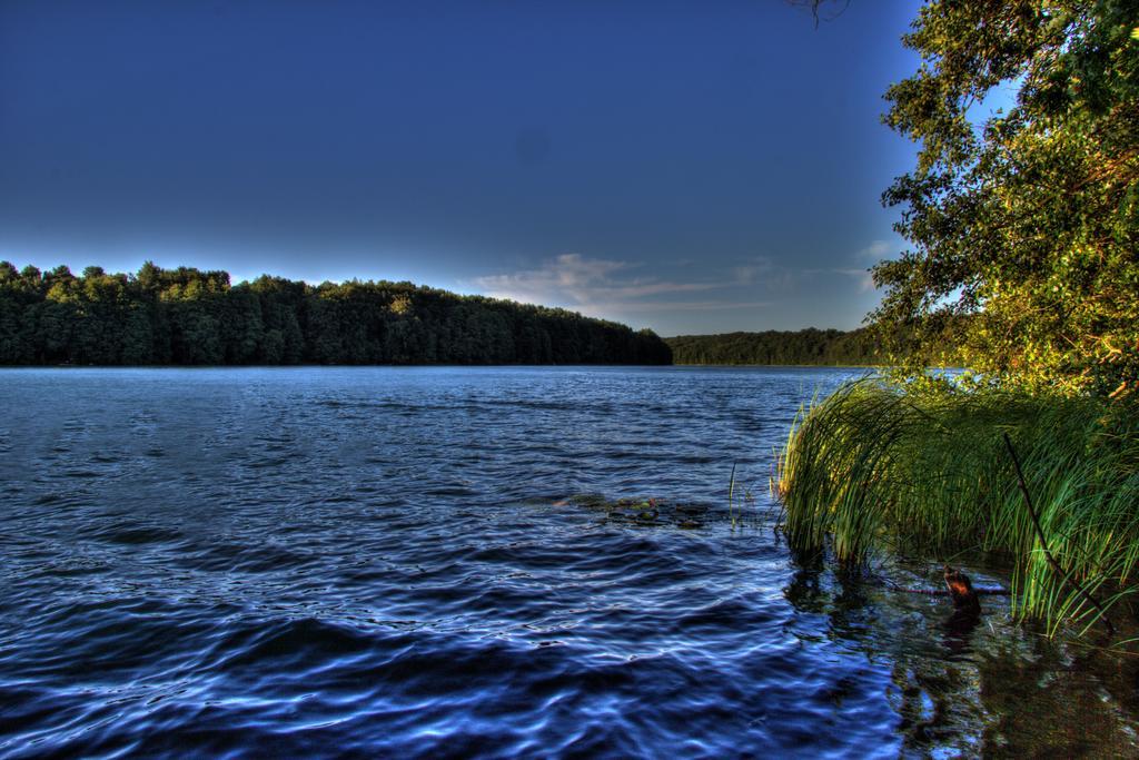 Hotel Am Liepnitzsee Wandlitz Dış mekan fotoğraf