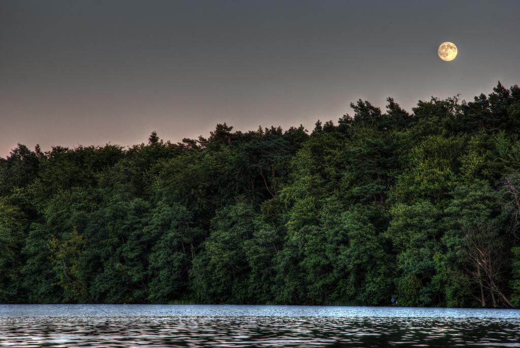 Hotel Am Liepnitzsee Wandlitz Dış mekan fotoğraf