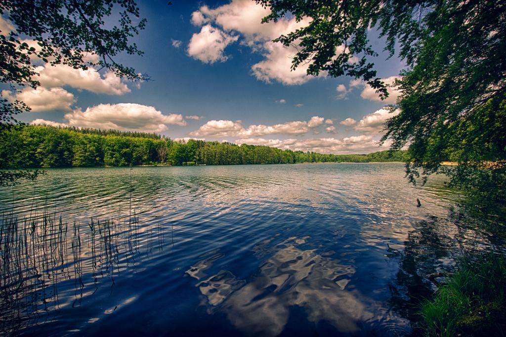Hotel Am Liepnitzsee Wandlitz Dış mekan fotoğraf
